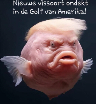 Neuer Fisch im -Golf von Amerika - endeckt 