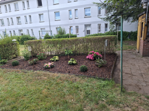 Mein-kleiner-Garten