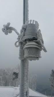 Winter-VP2